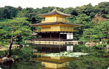 海外からの視察・訪日旅行手配